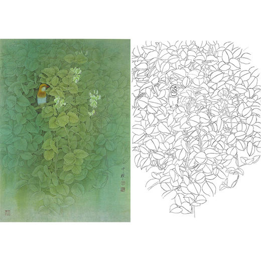 周中耀工笔花鸟白描底稿-《归隐》-斗方小品册页-多种白描尺寸可选-DV11 商品图0