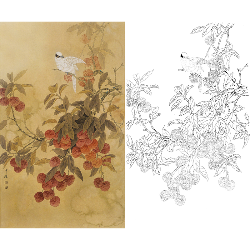 竖幅工笔花鸟白描底稿-周中耀-荔枝-DV04
