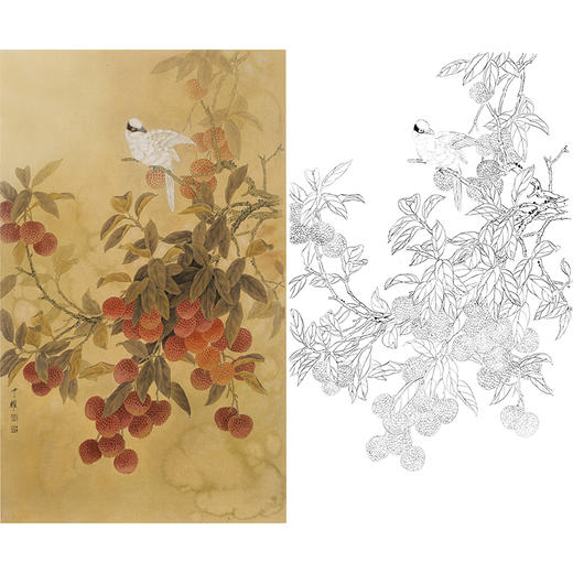 竖幅工笔花鸟白描底稿-周中耀-荔枝-DV04 商品图0