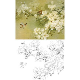 周中耀工笔花鸟白描底稿-玉兰花-斗方小品册页-DV03