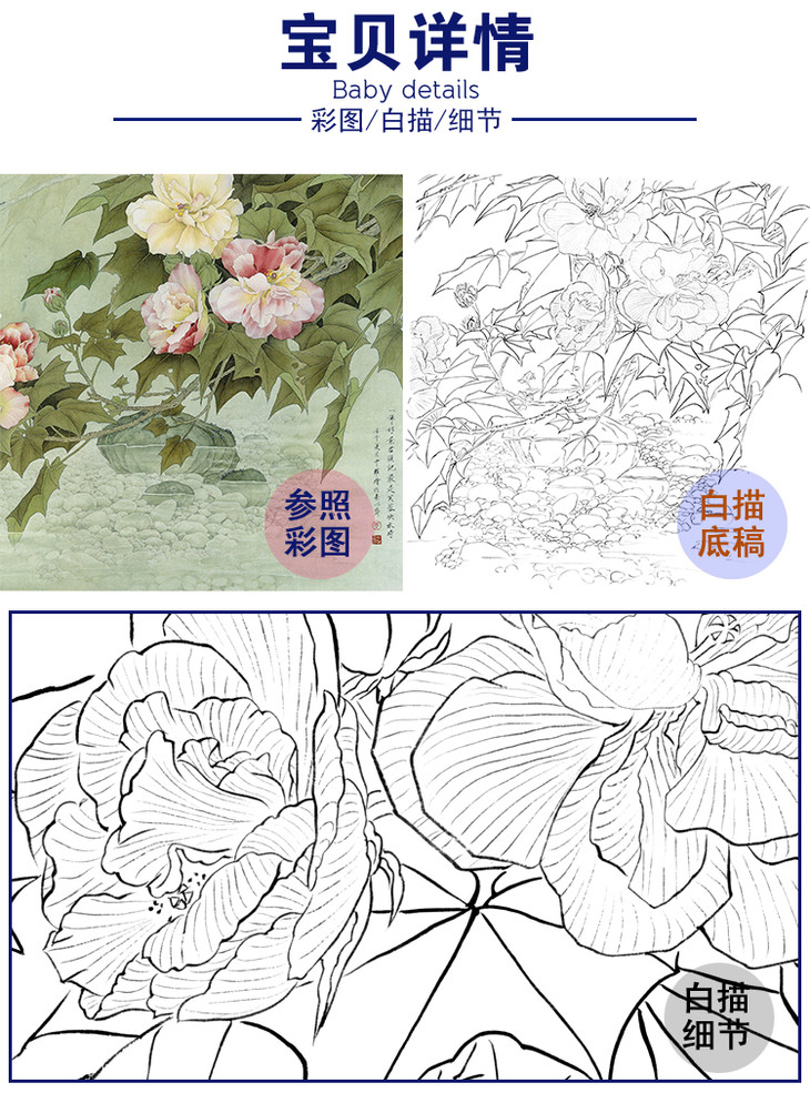 周中耀工笔花鸟白描底稿芙蓉花斗方小品册页dv01