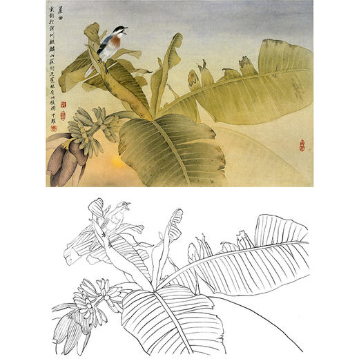 横幅周中耀工笔花鸟白描底稿-晨曲-DV08 商品图0