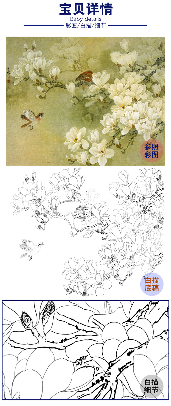 周中耀工笔花鸟白描底稿玉兰花斗方小品册页dv03