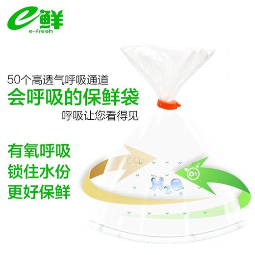 e鲜蔬果透气保鲜袋大号100只体验装 商品图1