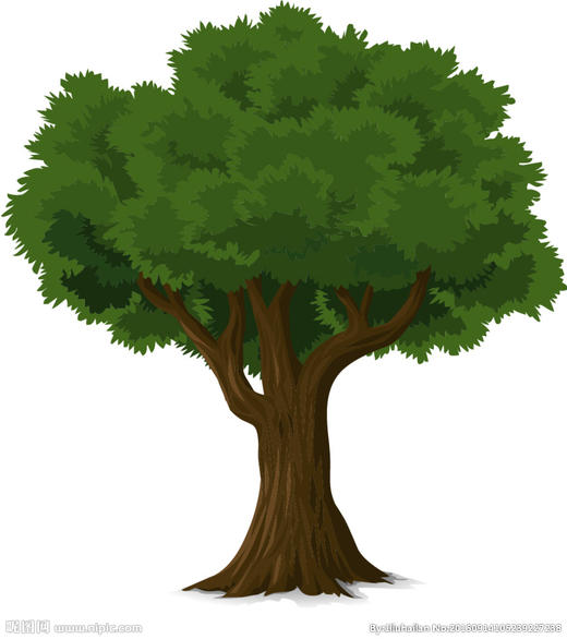 分销测试商品B 商品图0