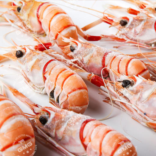 新西兰南极冰虾 无污染海洋捕捞 肉质鲜美 口感鲜甜 | 环球精选海鲜