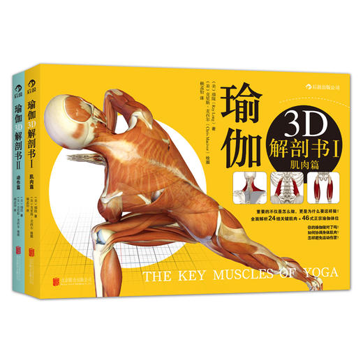 【套装】瑜伽3D解剖书——肌肉篇+动作篇 商品图0