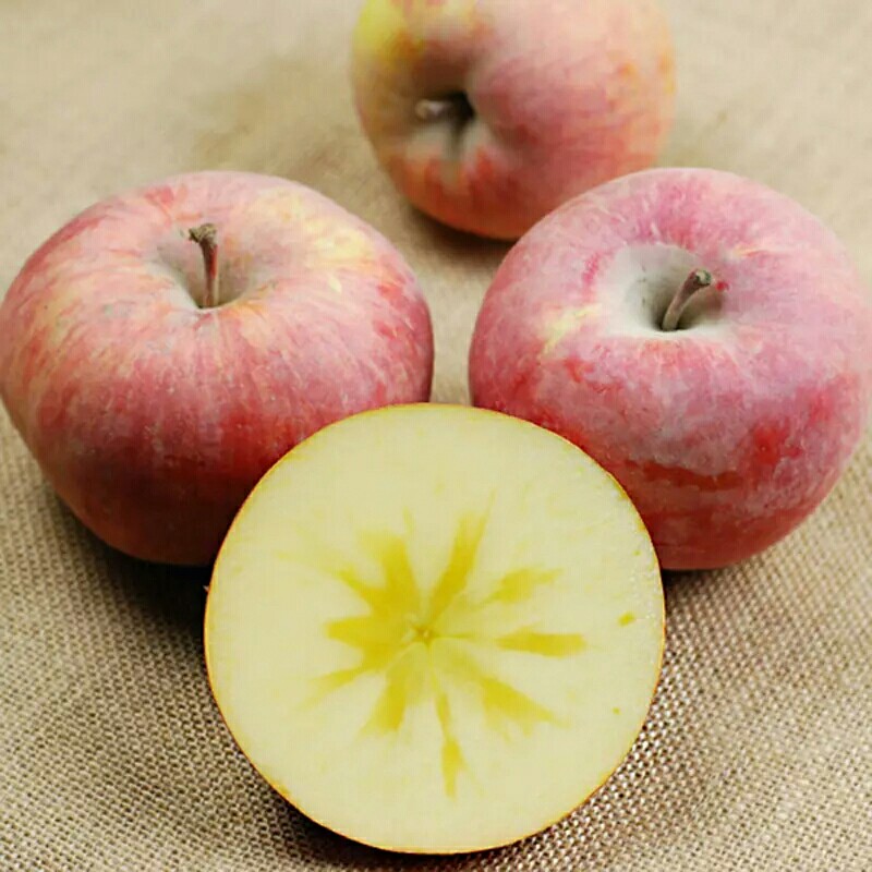 现货新疆阿克苏苹果 净寄外地运费自付重10斤