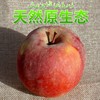 现货新疆阿克苏苹果 净寄外地运费自付重10斤 商品缩略图4