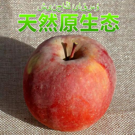现货新疆阿克苏苹果 净寄外地运费自付重10斤 商品图4