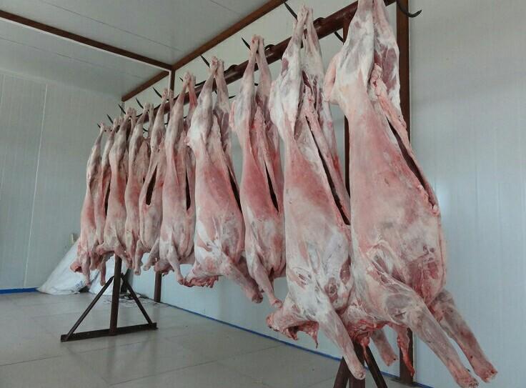 羊肉批发