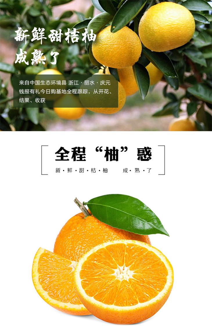 丽水庆元甜桔柚10斤装高山基地鲜甜不上火