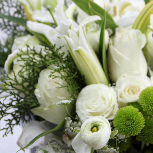 香颂系列之小清新 商品图3