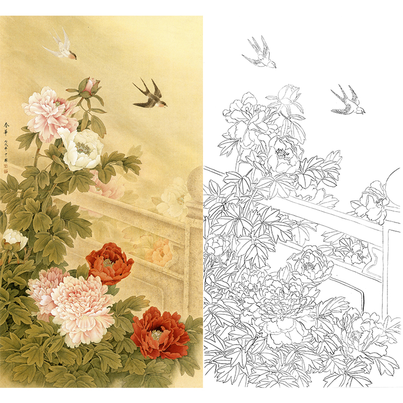 竖幅工笔花鸟白描底稿-周中耀-牡丹-春华-FV01