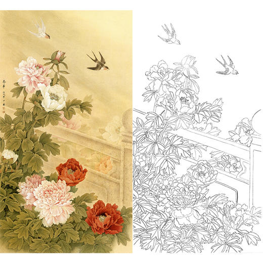 竖幅工笔花鸟白描底稿-周中耀-牡丹-春华-FV01 商品图0