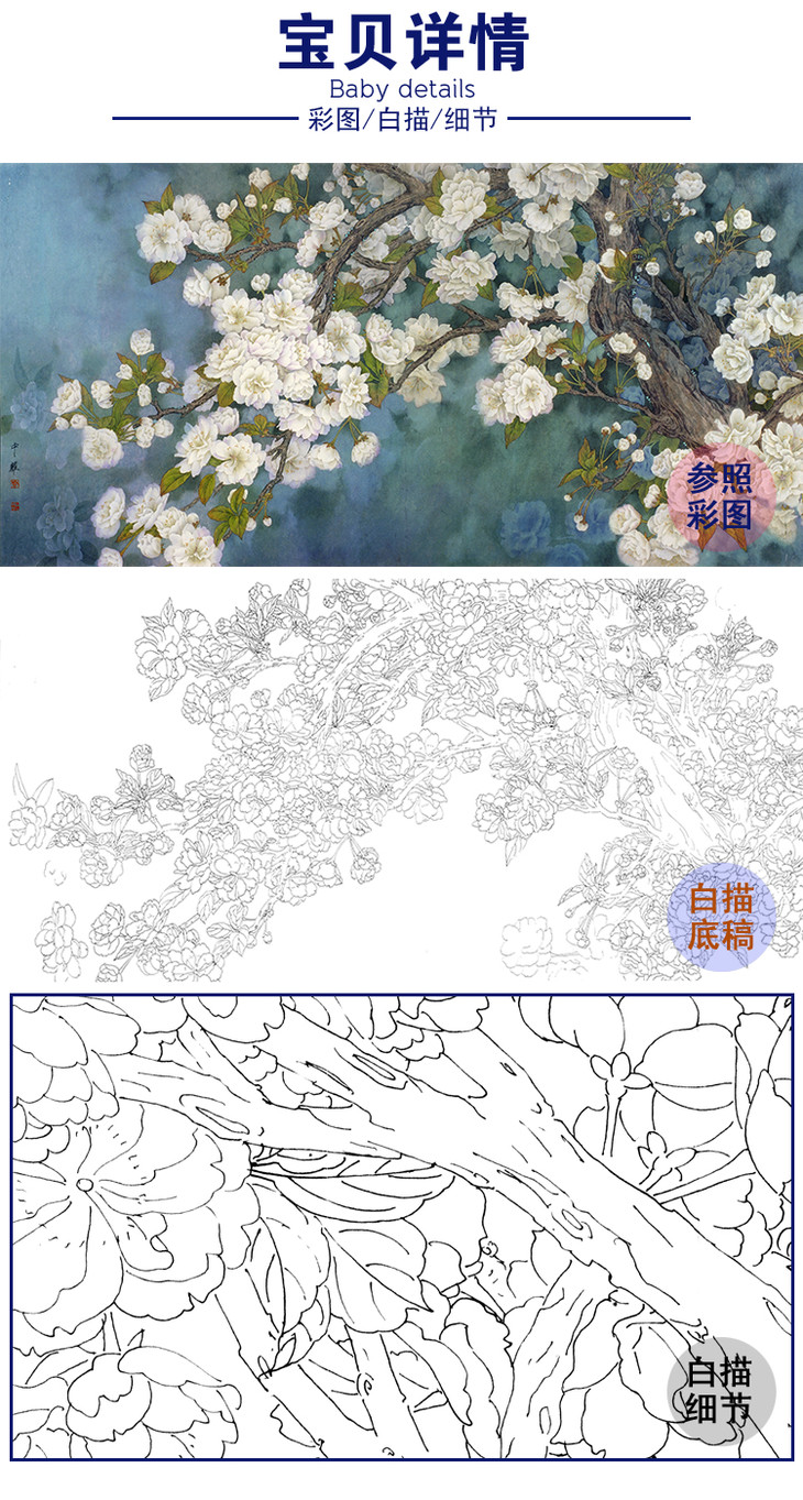 横幅工笔花鸟白描底稿周中耀樱花fv02