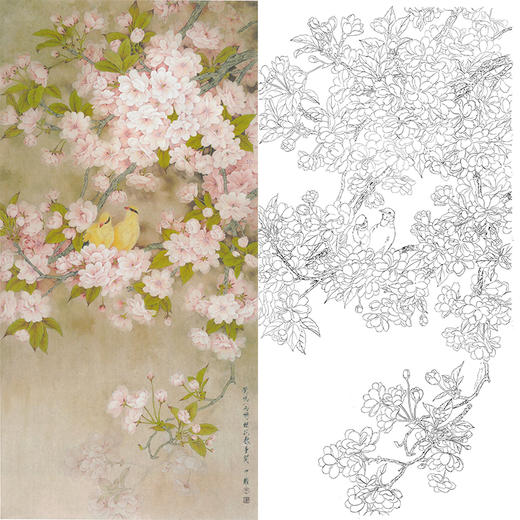 竖幅工笔花鸟白描底稿周中耀樱花染香莺鸣一两啭樱花数重开多种白描