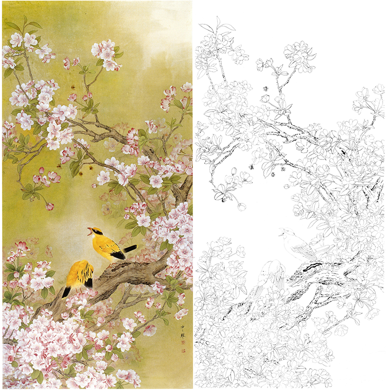 竖幅工笔花鸟白描底稿-周中耀-FV06