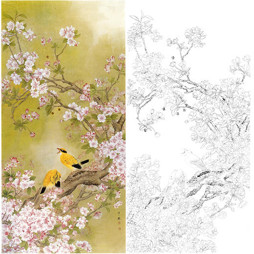 竖幅工笔花鸟白描底稿周中耀fv06