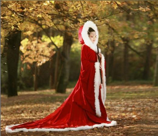 女款古装披风甄嬛同款表演服古代斗篷冬款毛边古代披风长裙圣诞服 商品图0
