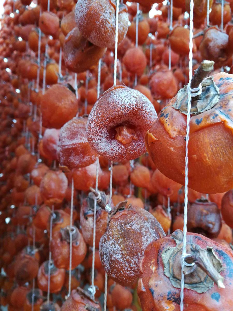 陕西彬县黄土高塬特产 之 柿饼