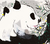吴冠中|《熊猫》—— 丝网版（签名50幅） 商品缩略图1