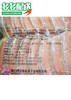 源香 A50台湾热狗肠(鸡肉)   50只 2.5kg/包  香肠/烤肠/肉肠 商品缩略图4