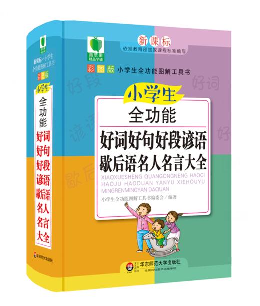 小学生全功能好词好句好段谚语歇后语名人名言大全 青苹果精品学辅4期 新课标小学生全功能图解工具 商品图0