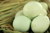 家绿绿壳鸡蛋40枚礼盒装 新鲜土鸡蛋 商品缩略图1
