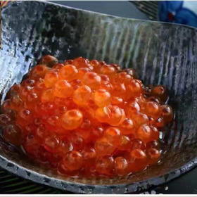 海鲜鱼籽料理食材三文鱼籽