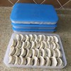 特百惠｜饺子盒冷冻保鲜盒 新款老款 商品缩略图5