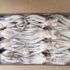 烧烤海鲜冷冻鱿鱼头 商品缩略图2