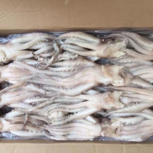 烧烤海鲜冷冻鱿鱼头 商品图2