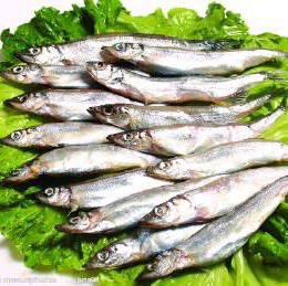 烧烤多春鱼1kg  6L 商品图0