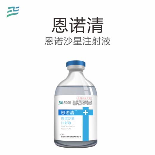 恩诺清—恩诺沙星注射液 商品图0