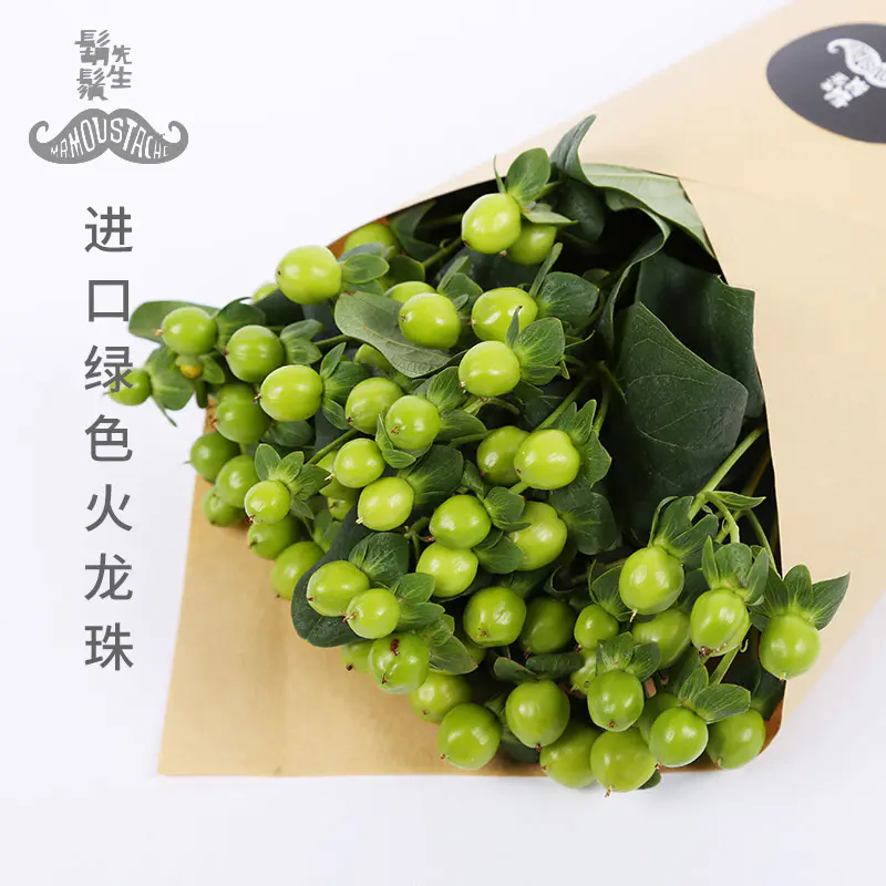 胡须先生荷兰进口粉色白色绿色火龙珠10枝单品花束粉豆白豆绿豆都是豆