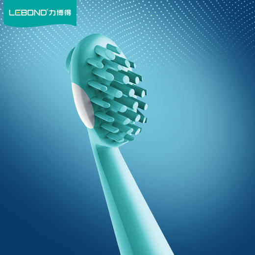 力博得声波牙刷xv专业特别版