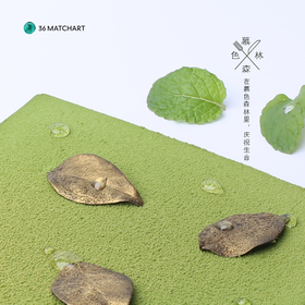 慕色森林--双12狂欢