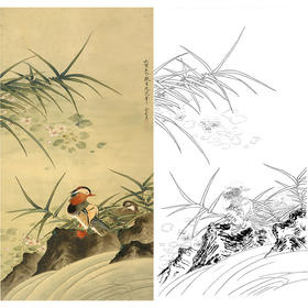 竖幅工笔花鸟白描底稿-俞致贞鸳鸯芦苇-GV03