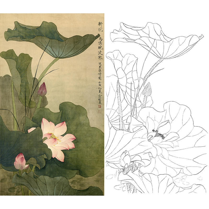 白描底稿-工笔花鸟-俞致贞荷花-gv04