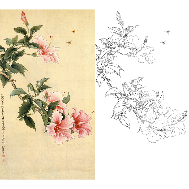 竖幅工笔花鸟白描底稿-俞致贞《锦葵》-多种白描尺寸可选-GV08
