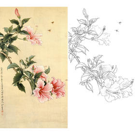 竖幅工笔花鸟白描底稿-俞致贞《锦葵》-多种白描尺寸可选-GV08