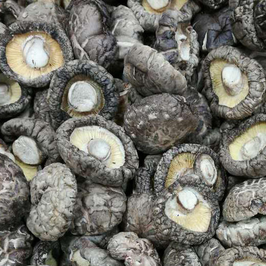 【团购特惠】花面香菇，炖汤香滑嫩，鲜美可口 满88包邮 商品图1