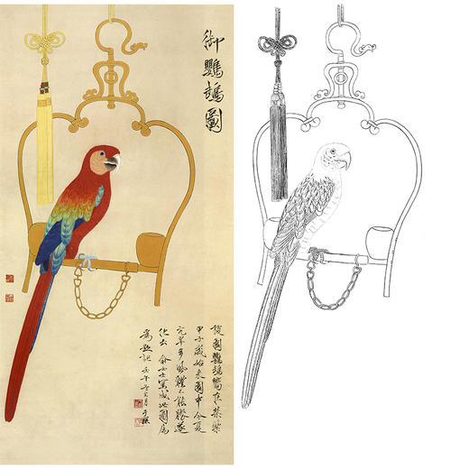 竖幅工笔花鸟动物白描底稿-俞致贞鹦鹉《御鹦鹉图》-多种白描尺寸可选-GV05 商品图0