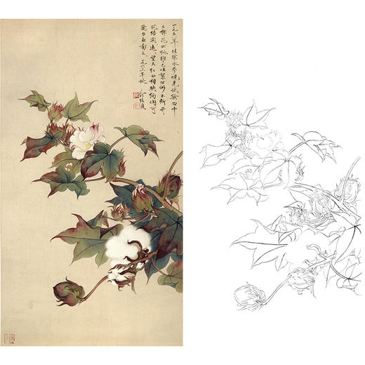 竖幅工笔花鸟白描底稿-俞致贞《棉花伏桃》-多种白描尺寸可选-GV09 商品图0