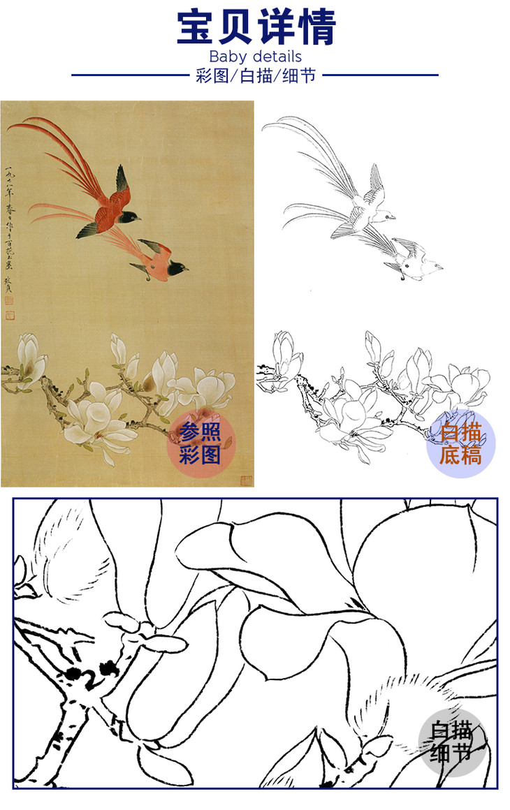 俞致贞竖幅工笔花鸟白描底稿玉兰绶带多种白描尺寸可选gv02