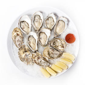 （永久下架）天宝生蚝N2 （12只）