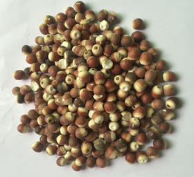 熟芡实(5斤装）