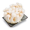 精品菜：白玉菇125g 商品缩略图1