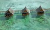 【度假村】马来西亚诗巴丹卡帕莱潜水度假套餐 商品缩略图5
